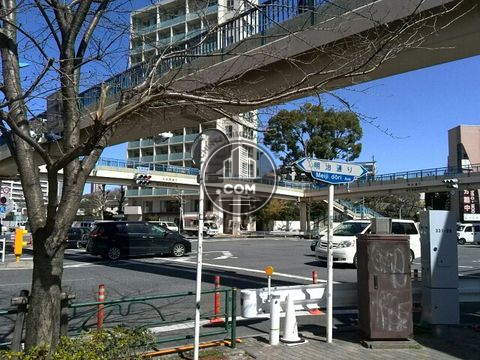 大通り