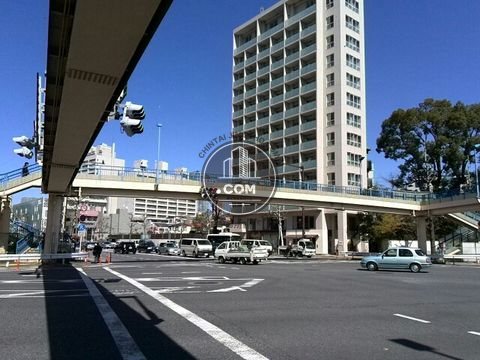 大通り