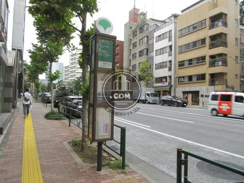 大通り