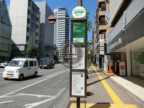 大通り