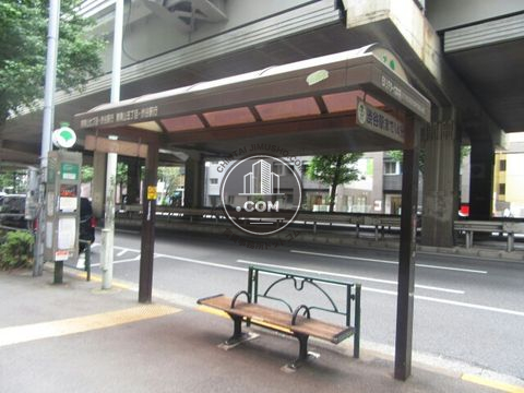 大通り