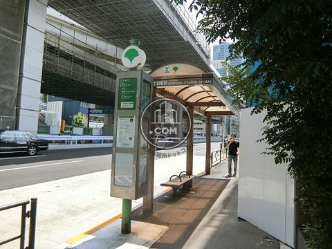 大通り