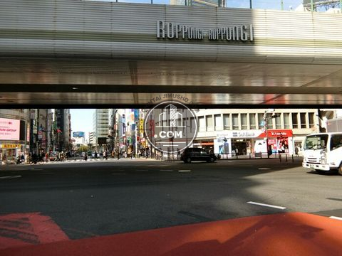 大通り