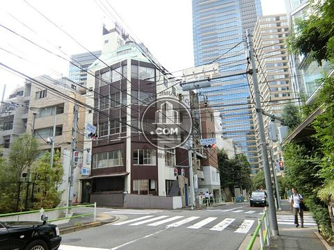 大通り