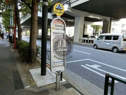 大通り