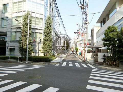 大通り