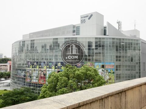 大通り