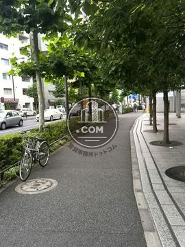 大通り