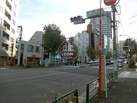 大通り