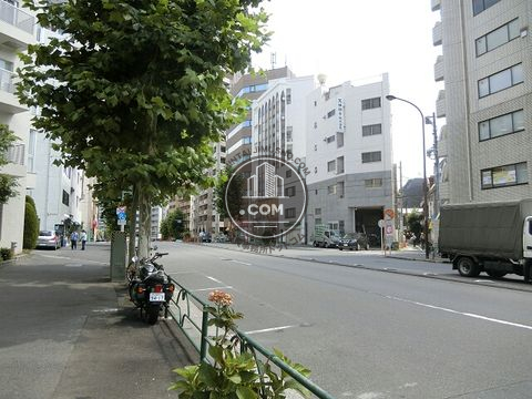 大通り