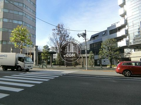 大通り
