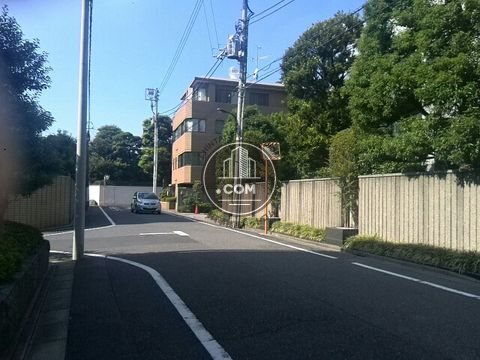 裏路地