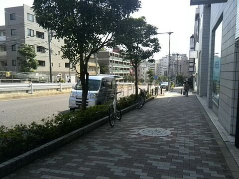 整備された歩道は緑が多いです