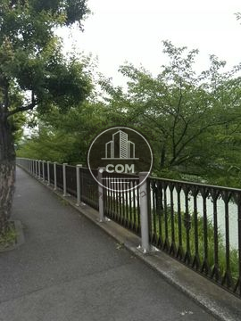 大通り