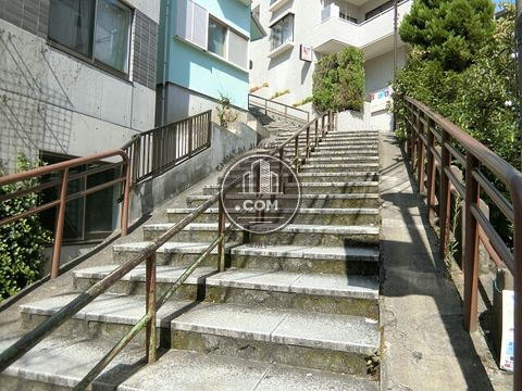裏路地
