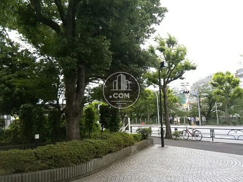 大通り