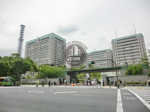 大通り