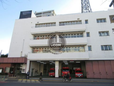 大通り