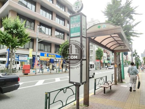 大通り
