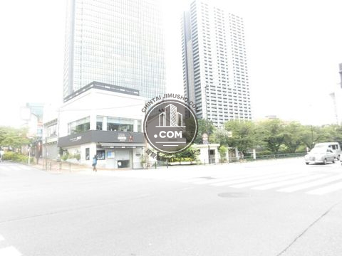 大通り