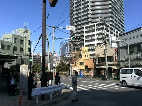 大通り