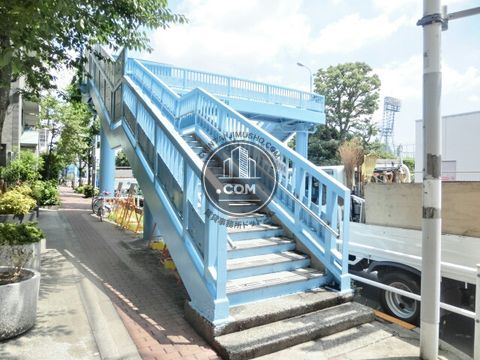 大通り