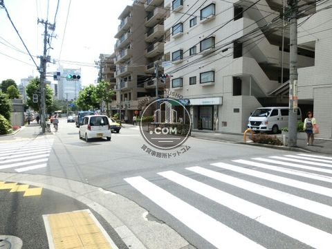 大通り