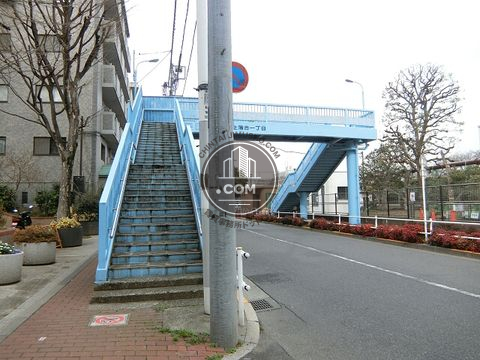 大通り