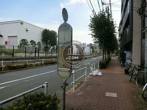 大通り