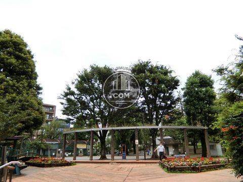 裏路地
