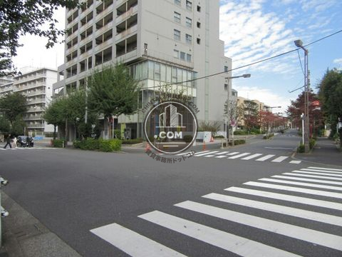 裏路地