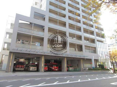 大通り