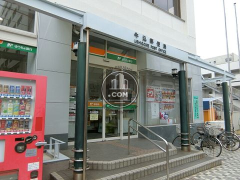 大通り