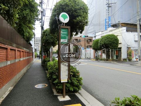 大通り