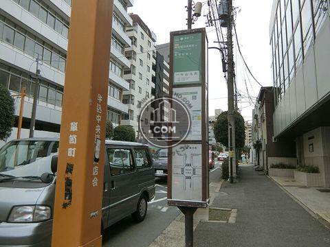 大通り