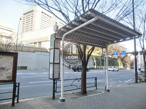 大通り