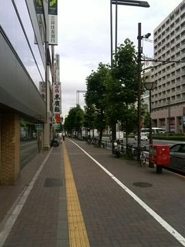 新宿通りの歩道は木々が立ち並びます。
