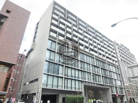 大通り