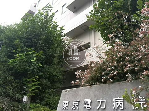 大通り