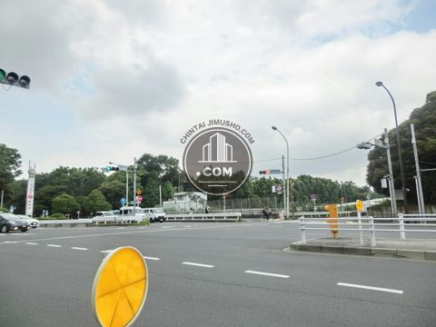 大通り