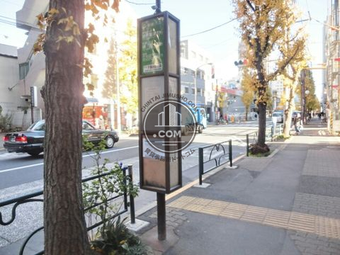 大通り
