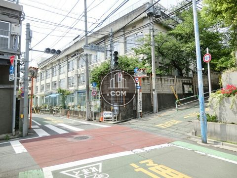 大通り