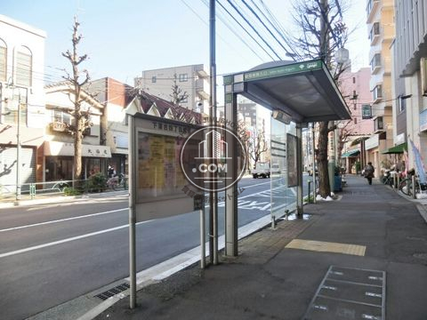 大通り