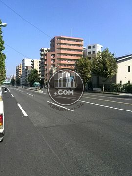 大通り