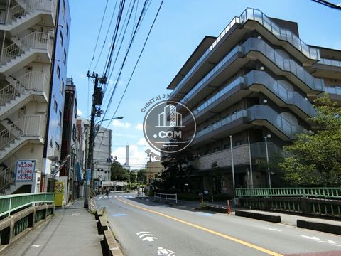 大通り