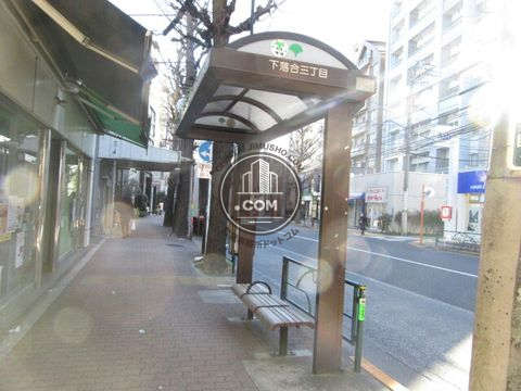 大通り