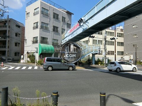 大通り