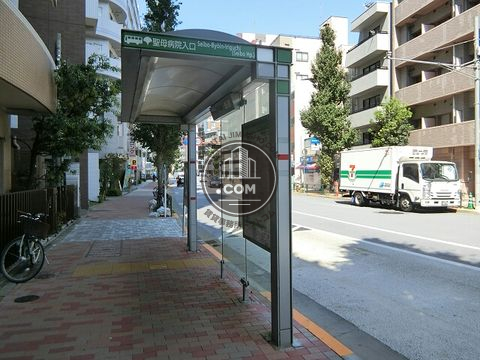 大通り
