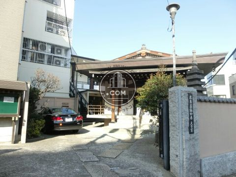 大通り