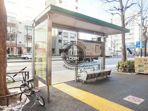 大通り
